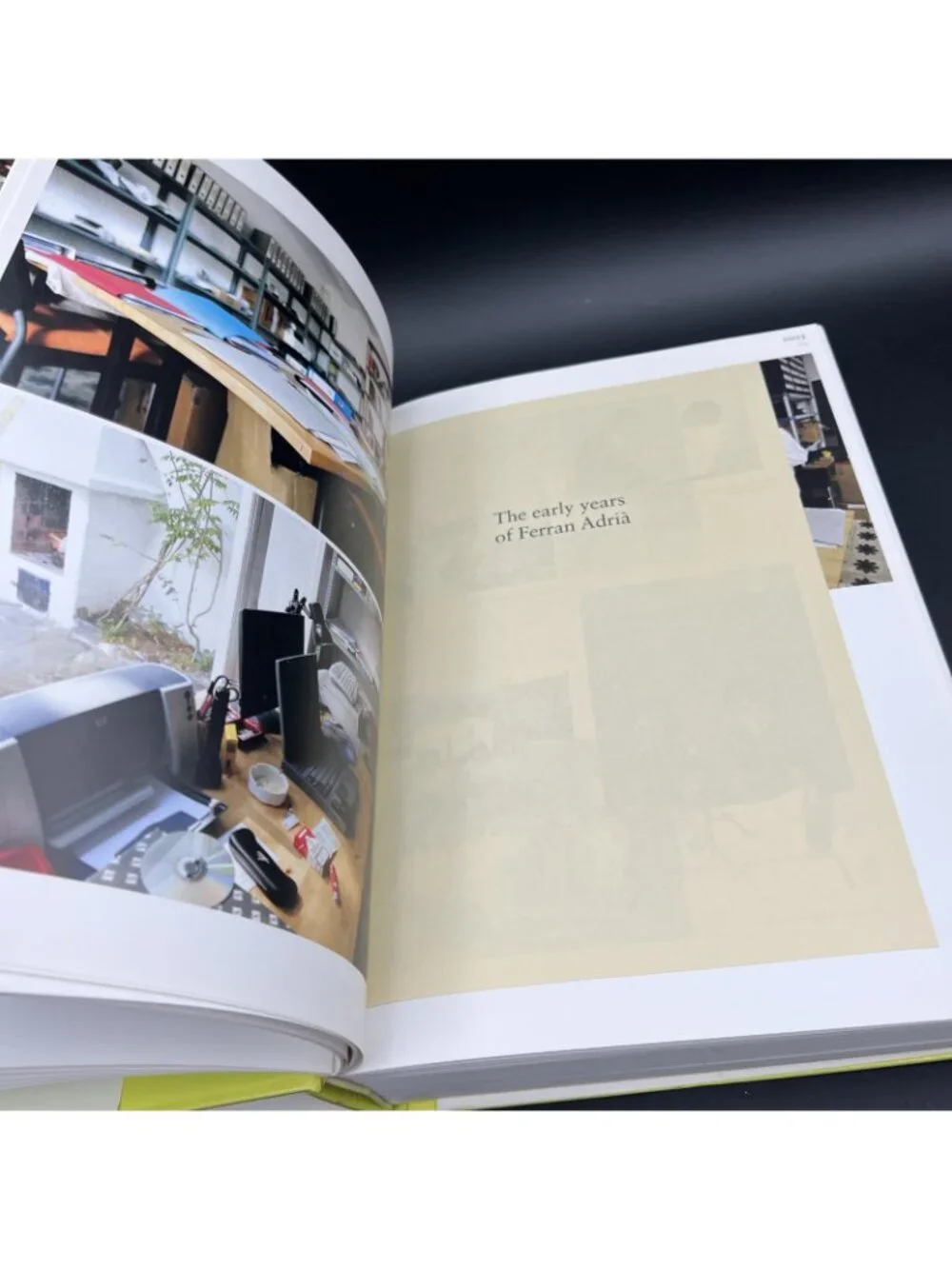 A Day at ElBulli Insight into the Ideas Methods Creativity Ferran Adrià Phaidon